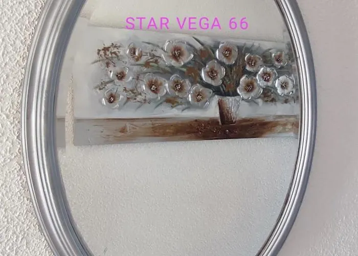 Star Vega 66